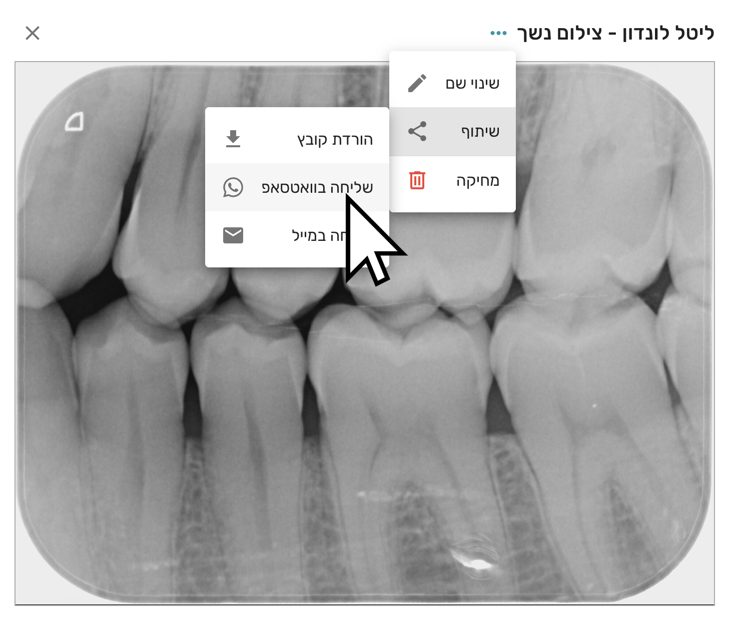 שליחת צילומי נשך בוואטסאפ